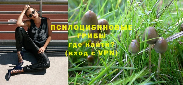 гашиш Осташков