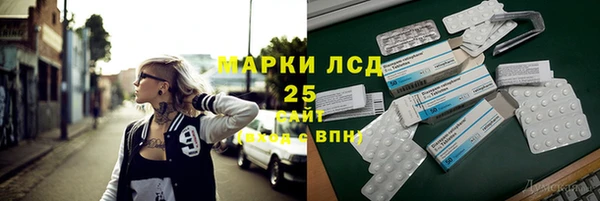 PSILOCYBIN Абаза