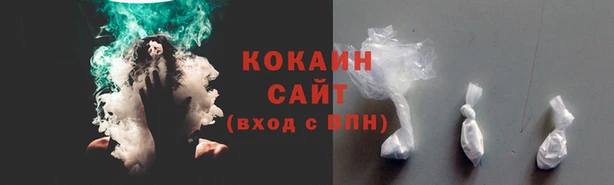 PSILOCYBIN Абаза