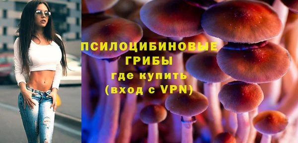 гидра Абинск
