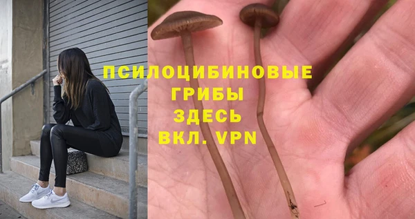 PSILOCYBIN Абаза