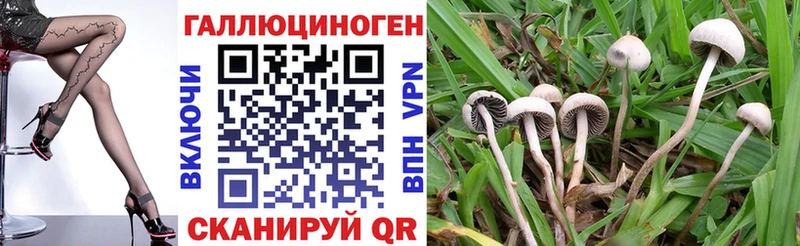 цена   Сухиничи  Галлюциногенные грибы MAGIC MUSHROOMS 