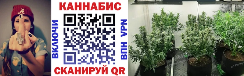 Бошки Шишки THC 21%  продажа наркотиков  мега tor  Сухиничи 